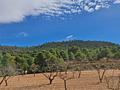 Land in Pinoso