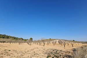 thumb 14