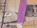Land in Pinoso