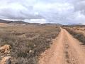 Land in La Solana