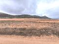 Land in La Solana