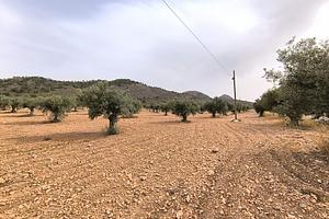 thumb 9