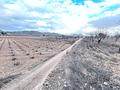 Land in La Solana