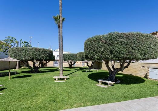 Apartment in Torrevieja