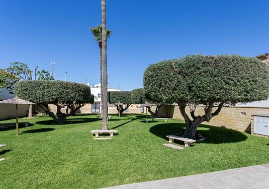 Apartment in Torrevieja