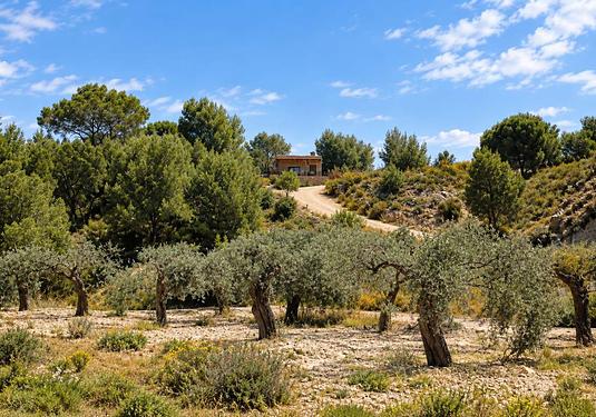 Finca in Gea Y Truyols