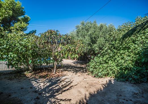 Villa in Orihuela