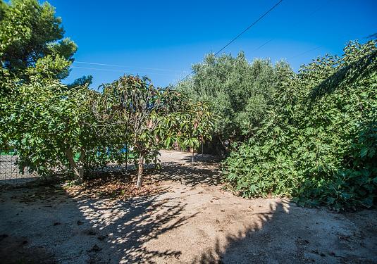 Villa in Orihuela