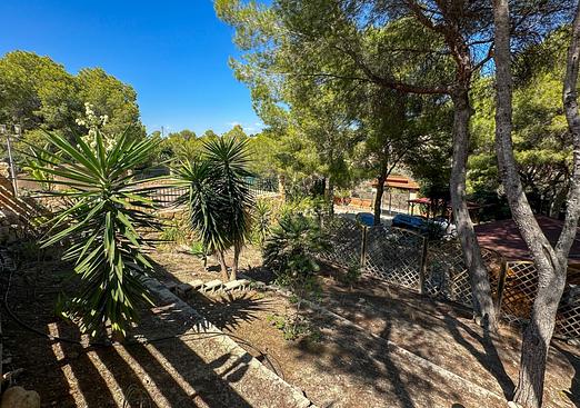 Finca in San Miguel de Salinas