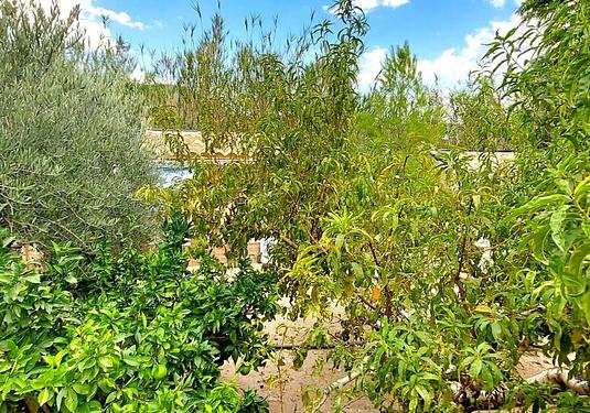 Villa in Murcia