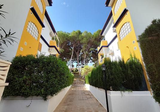 Apartment in Mil Palmeras