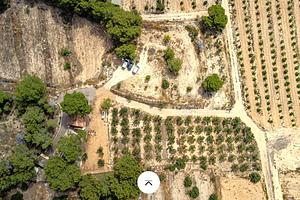 thumb 23