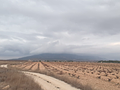 Land in Pinoso