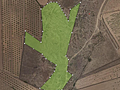 Land in Pinoso
