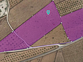 Land in Pinoso