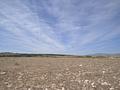 Land in Pinoso