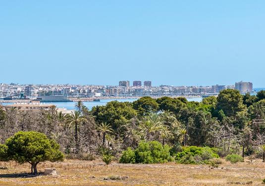 Apartment in Orihuela Costa