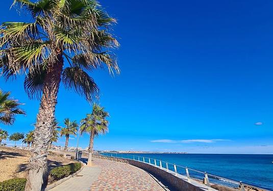 Bungalow in Pilar de La Horadada