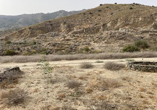 Country house in La Pinilla