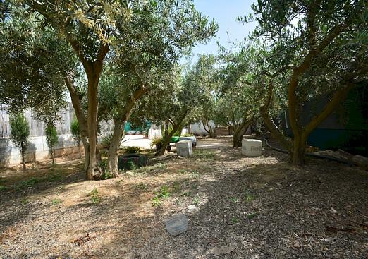 Villa in Guardamar del Segura