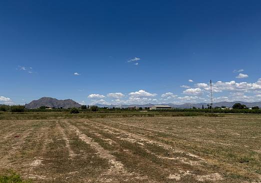 Apartment in Almoradi