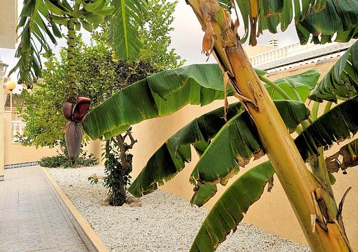 Villa in Los Urrutias