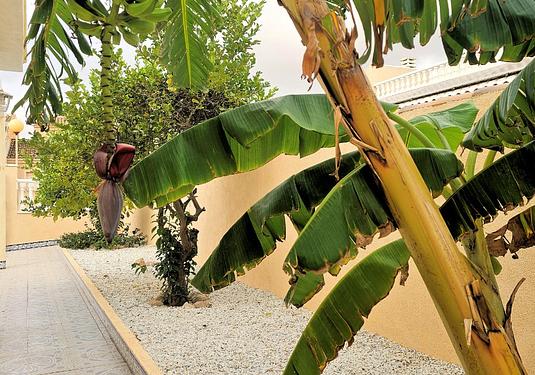 Villa in Los Urrutias