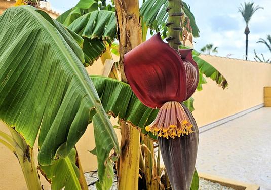 Villa in Los Urrutias