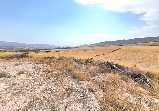 Country house in Jumilla