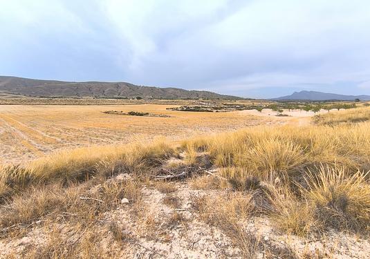 Country house in Jumilla
