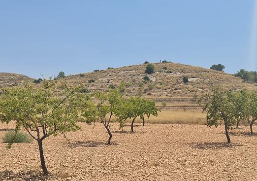 Land in Canada del Trigo