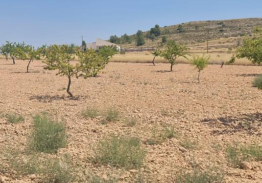 Land in Canada del Trigo