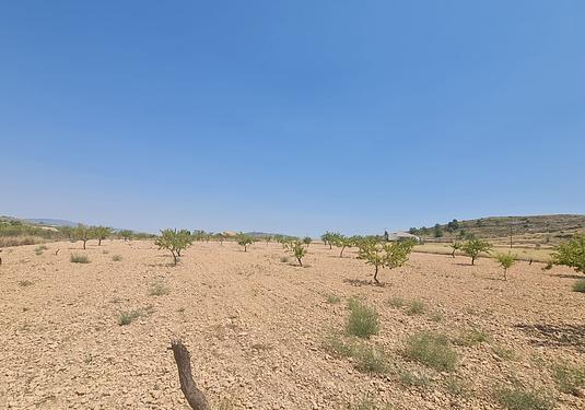 Land in Canada del Trigo