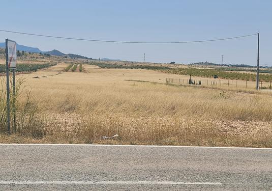 Land in Jumilla