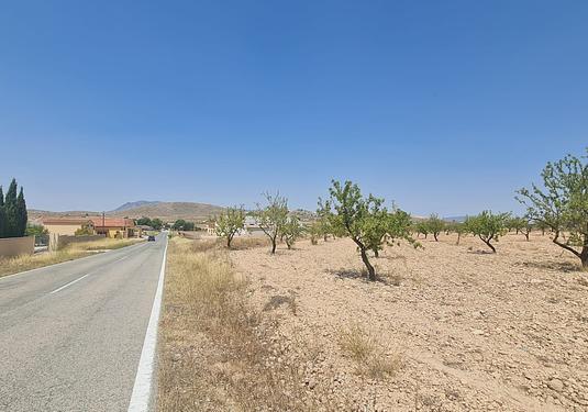 Land in Jumilla