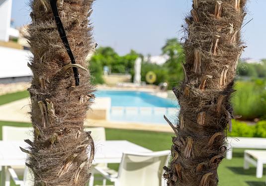 Apartment in Orihuela Costa