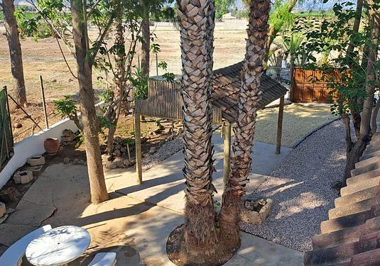 Country house in Orihuela