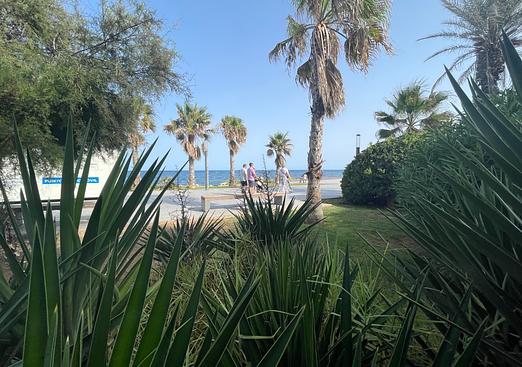 Commercial in Torrevieja