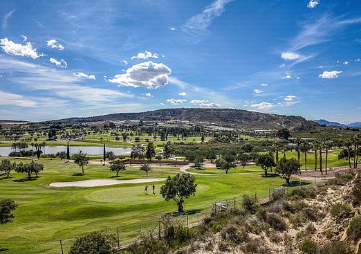 Apartment in Algorfa