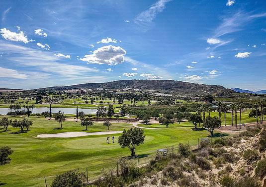 Apartment in Algorfa