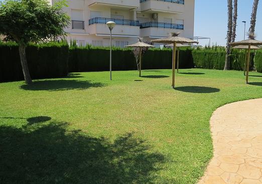 Apartment in Pilar de La Horadada