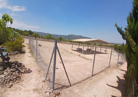 Property in Zarra