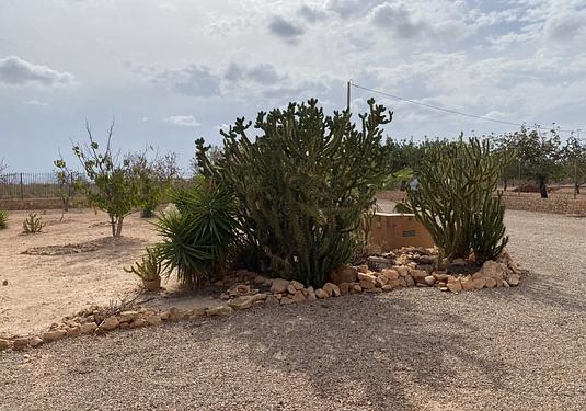 Town house in Fuente Alamo