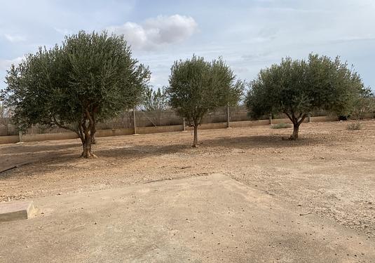 Town house in Fuente Alamo