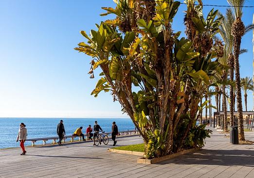 Apartment in Torrevieja