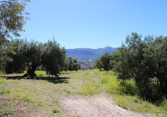 Country house in Salar
