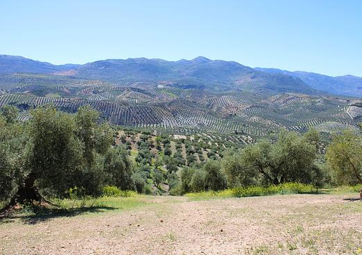 Country house in Salar