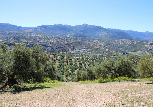 Country house in Salar