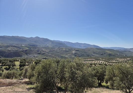 Country house in Salar