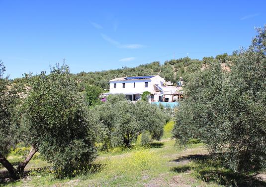 Country house in Salar